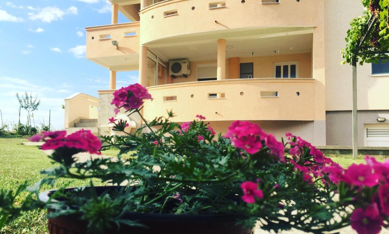 Apartment Vali *